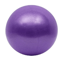 25CM Mini Anti-Burst Exercise Yoga Ball – Soft PVC Pilates & Balance Ball