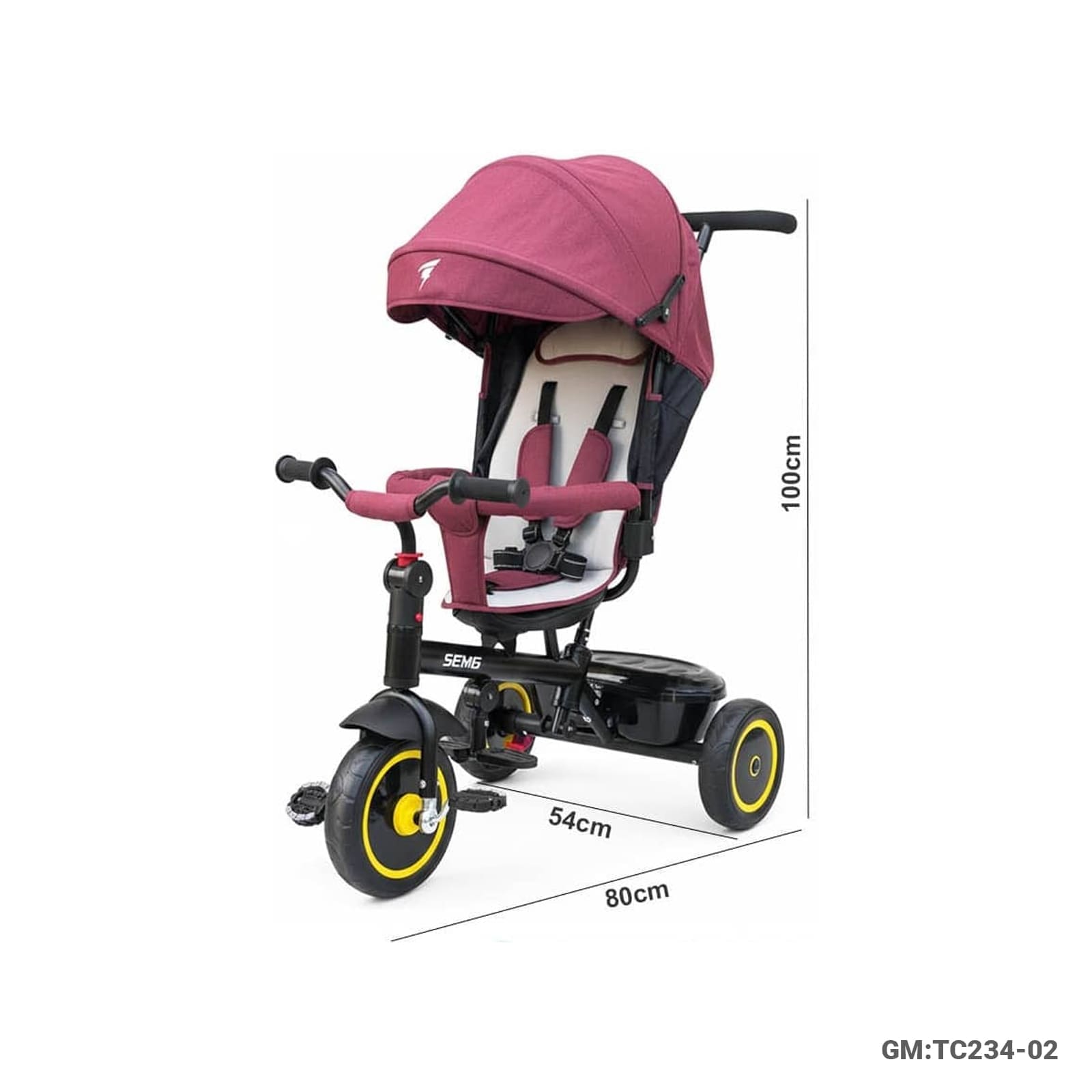 Kids Tricycle with Push Handle (TC234-02)